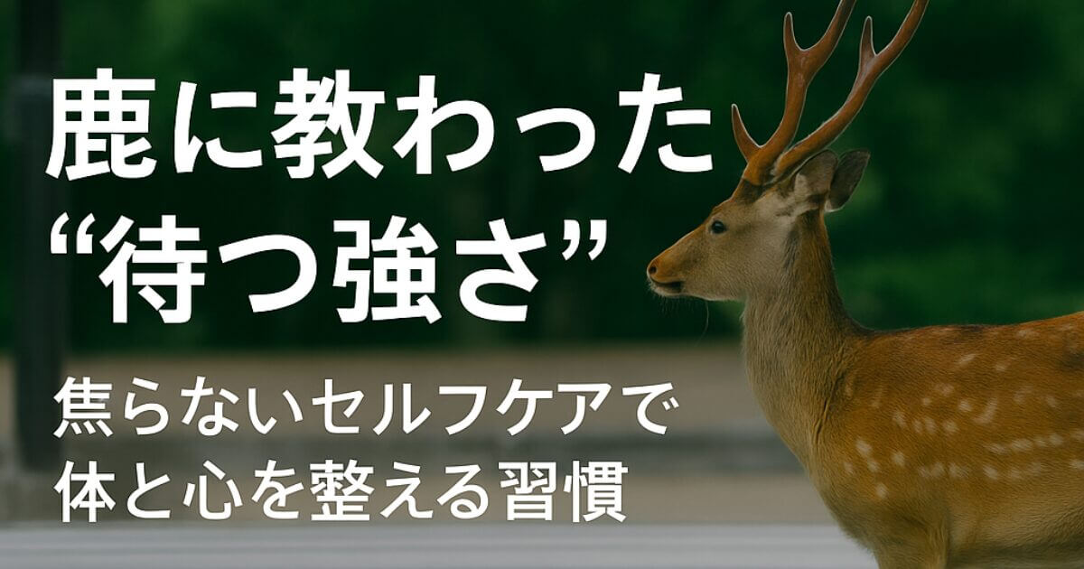 鹿が横断歩道前で立ち止まり、焦らないセルフケアをテーマにした記事用アイキャッチ画像